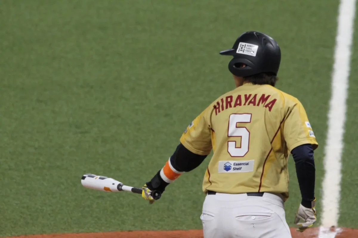 野球をしている後ろ姿