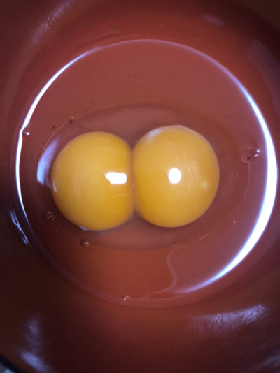 卵の黄身